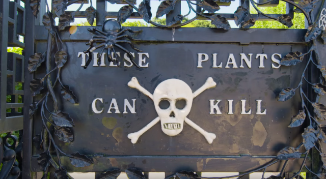 Vrt smrti je najopasnija atrakcija na svetu (VIDEO)